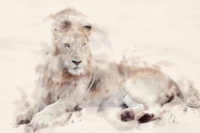  - Arno Du Toit