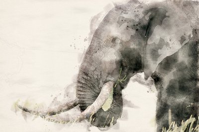  - Arno Du Toit