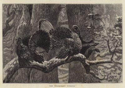 Les Dindons triomphants - Arthur Boyd Houghton