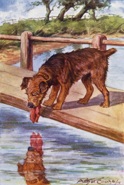 Fables d