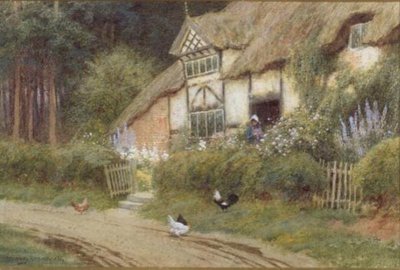 Une jeune fille et des poules près d
