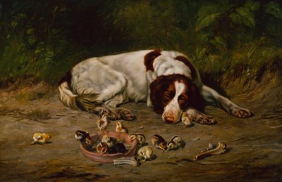 Bon chien - Arthur Fitzwilliam Tait