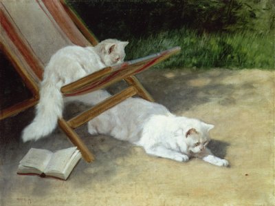 Deux chats persans blancs avec une coccinelle près d