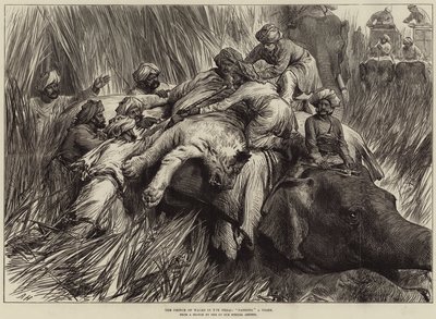 Le Prince de Galles dans le Terai, chassant un tigre - Arthur Hopkins
