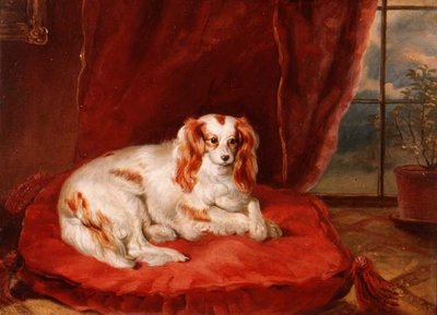 Un épagneul Cavalier King Charles allongé sur un coussin rouge - Arthur J. Stark