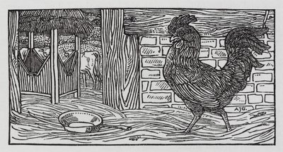 Hans Christian Andersen : "Il n