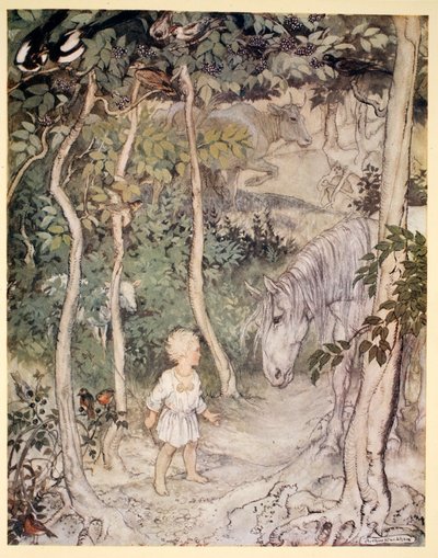 Il pourrait penser, en regardant un cheval qui regarde, 