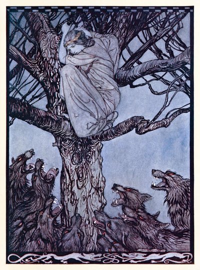 Elle regardait avec une colère triste la horde qui se débattait et grognait en dessous de La Cour de Becfola dans Contes de fées irlandais - Arthur Rackham