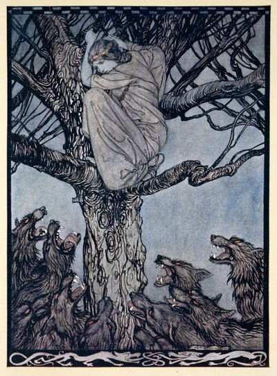 Elle regardait avec une colère triste la horde qui se tendait et grognait en bas, illustration de 