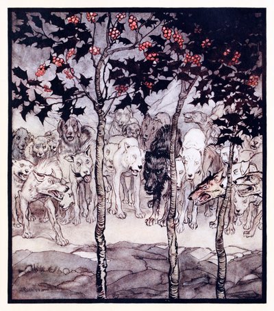 Ils se tenaient dehors, remplis de sauvagerie et de terreur de La grotte enchantée de Cesh Corran dans Contes de fées irlandais - Arthur Rackham