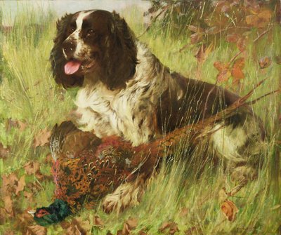 Springer spaniel avec faisan - Arthur Wardle