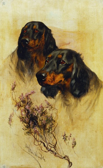 Deux Setters Gordon - Arthur Wardle