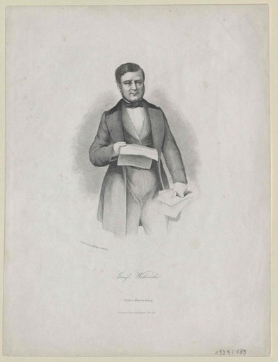 Alexandre Comte Walewski - Artist Unknown