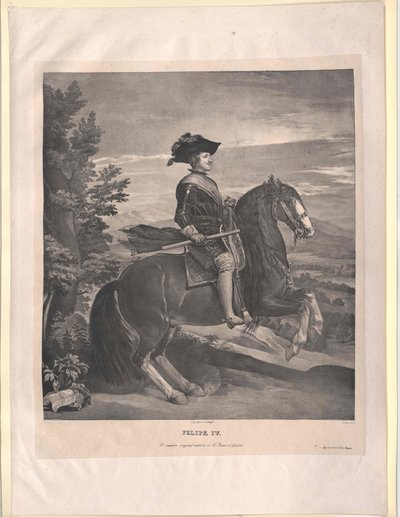 Roi d