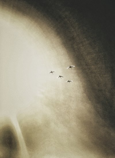  - Artur Politov