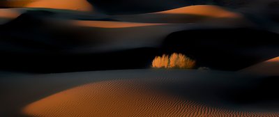  - Asef Azimaie