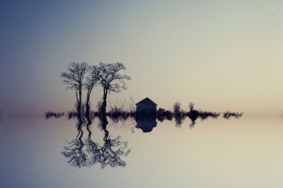 Reflet serein sur l