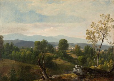 Une vue de la vallée - Asher Brown Durand