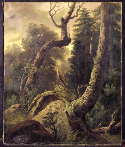 Paysage forestier - Asher Brown Durand