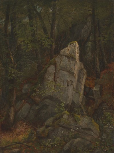 Étude de rochers dans le ravin de Pearson, milieu des années 1850 - Asher Brown Durand