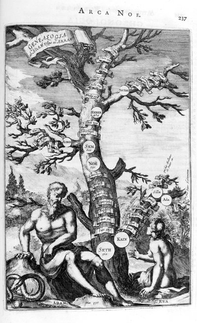 Arbre généalogique d
