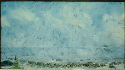 Fleurs sur la plage - August Johan Strindberg