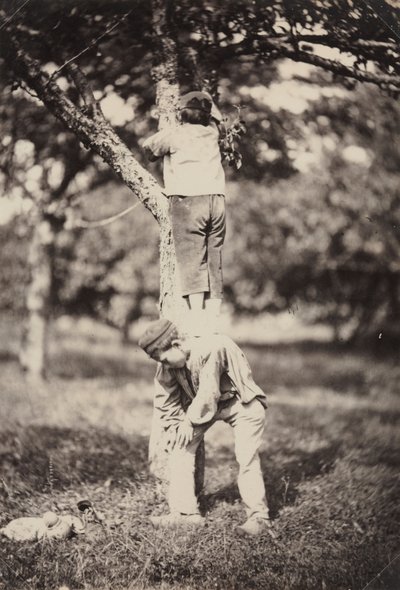 Étude de campagne française : Deux garçons grimpant à un arbre - Auguste Giraudon
