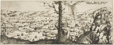 Paysage avec un arbre au centre du premier plan - Augustin Hirschvogel