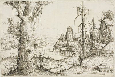 Paysage fluvial avec grand arbre au premier plan - Augustin Hirschvogel