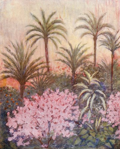 Une palmeraie à Murcie (lithographie couleur) - Augustine Fitzgerald