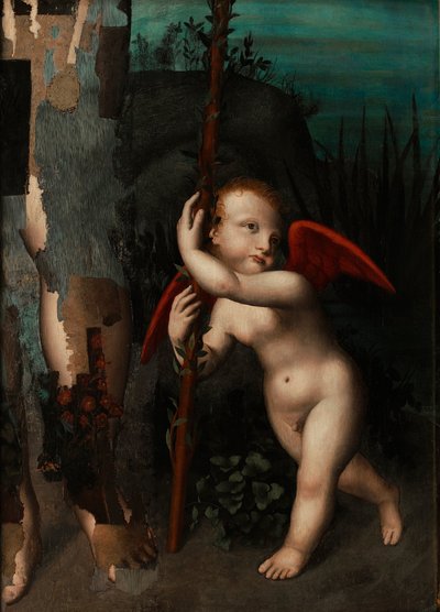 Cupidon avec un myrte, avant 1593 - Aurelio Luini