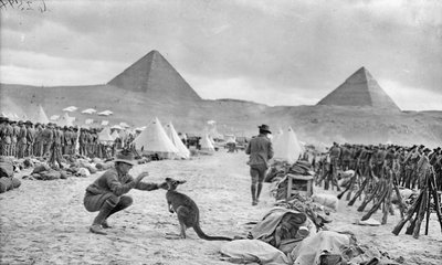 Lignes des 9e et 10e Bataillons Australiens au Camp de Mena, regardant vers les Pyramides, décembre 1914 - Australian Photographer