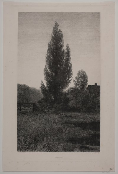 Danois : Sommeraften - Axel Holm