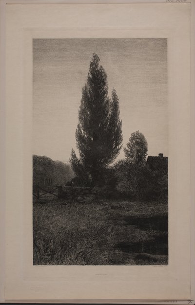 Danois : Sommeraften - Axel Holm
