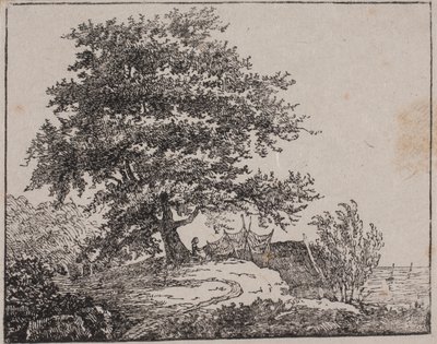 Arbre sur une pente près de la mer - Axel Theodor Kittendorff