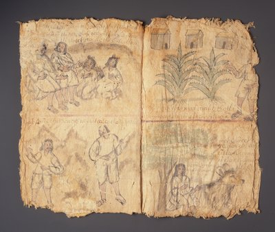 Codex Techialoyan, Coyotepec Coyonazco, Mexique - Aztec