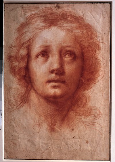 Étude de tête de femme, le regard fixe tourné vers le haut. Dessin à l