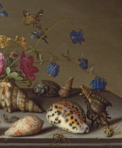 Fleurs, Coquillages et Insectes sur un Rebord de Pierre - Balthasar van der Ast