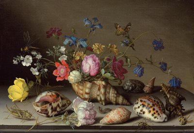 Fleurs, coquillages et insectes sur un rebord de pierre - Balthasar van der Ast