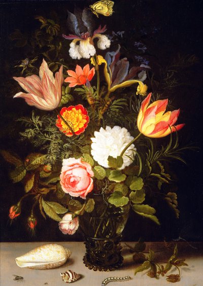 Nature morte de fleurs dans un Roemer avec deux coquillages - Balthasar van der Ast