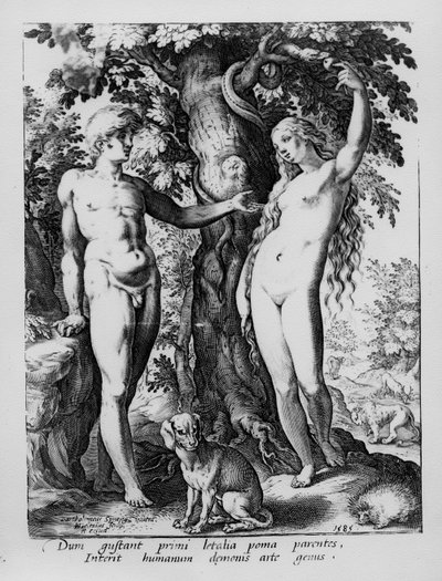 Adam et Ève, gravé par Hendrik Goltzius, 1585 - Bartholomaeus Spranger