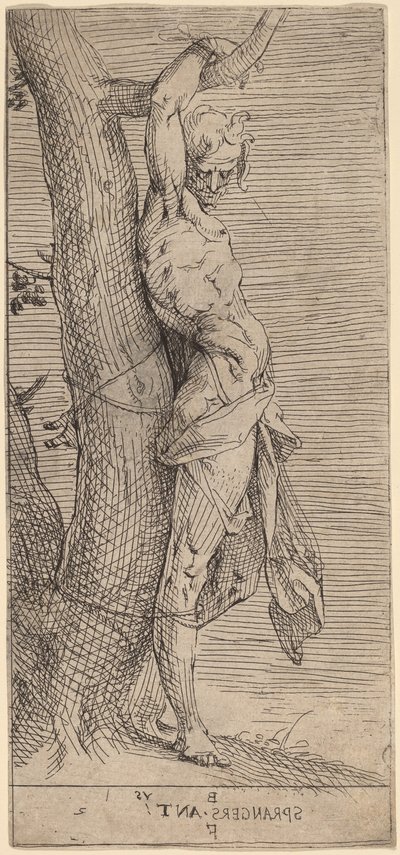 Saint Sébastien, attaché à un arbre - Bartholomaeus Spranger