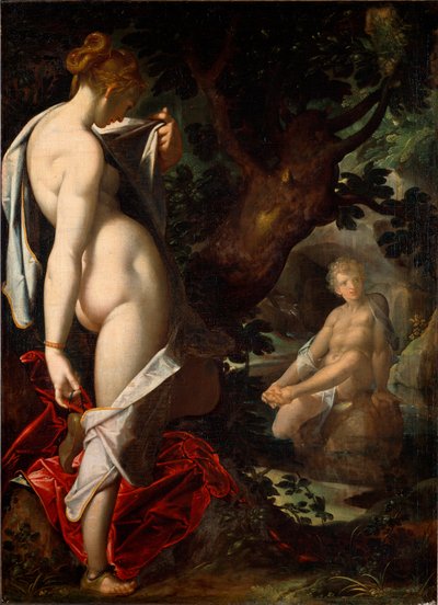 La naïade Salmacis admirant Hermaphrodite se baignant dans une source - Bartholomaeus Spranger