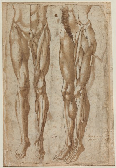 Deux études d