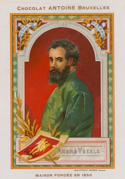André Vésale, anatomiste et médecin flamand du 16e siècle - Belgian School