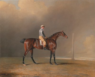Diamond, avec Dennis Fitzpatrick en selle - Benjamin Marshall