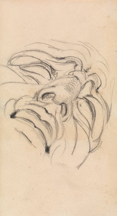 Étude du visage expressif d