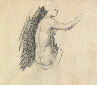 Étude du Dos d