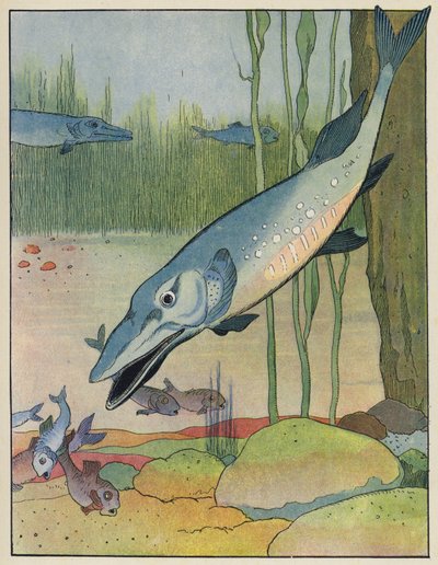 Poissons - Benjamin Rabier