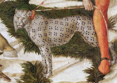 Léopard tirant sur une laisse (détail du cycle du Voyage des Mages dans la chapelle) - Benozzo di Lese di Sandro Gozzoli